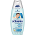 Schauma for Men proti lupům šampon na vlasy 250 ml