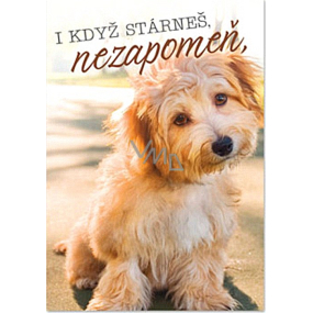 Ditipo Hrací přání I když stárneš, nezapomeň Petr Novák Přátelství na n-tou 224 x 157 mm