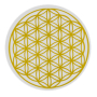 Masaru Emoto Alladin Family karafa Gold Květ života 2,3 l Pro revitalizaci a oživení oslabené vody z vodovodu