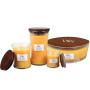 WoodWick Seaside Mimosa - Mimóza na pobřeží vonná svíčka s dřevěným knotem petite 31 g
