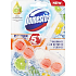 Domestos Power 5+ Lime & Cedarwood Wc tuhý blok 55 g