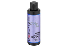 Professional Hair Care Destivii Silver szampon do włosów blond 200 ml