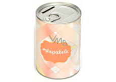 Nekupto Fashion Skarbonka Shopaholic 11 x 7,5 cm