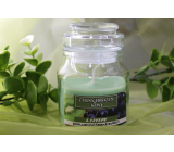 Lima Aroma Dreams Černý hrozen a kiwi aromatická svíčka sklenička s víčkem 120 g