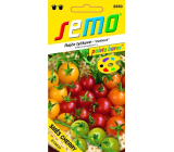 Semo Rajče tyčkové Cherry směs barev 10 semen