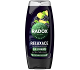 Radox Men 3w1 Relaksacja Jeżyna i Imbir żel pod prysznic dla mężczyzn 225 ml