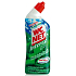 Wc Net Intense Mountain Fresh Żelowy środek czyszczący do toalety 750 ml