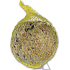 Ptačí bufet Lojová koule průměr 6 cm 1 kus