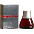 Antonio Banderas Spirit for Men toaletní voda 30 ml