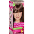 Garnier Color & Shine barva na vlasy 6.0 velmi světlá kaštanová