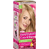 Garnier Color & Shine barva na vlasy 8.0 světlá blond