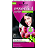 Schwarzkopf Essential Color dlouhotrvající barva na vlasy 290 Černá
