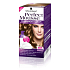 Perfect Mousse Permanent Color barva na vlasy 665 Světle zlatavě hnědý