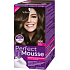 Schwarzkopf Perfect Mousse Permanent Foam Color barva na vlasy 500 Středně hnědý
