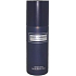 Dolce & Gabbana pour Homme deodorant sprej pro muže 150 ml
