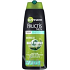 Garnier Fructis Men Daily Energy posilující šampon pro silné vlasy 250 ml