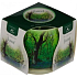 Essences of Life Forest aromatická svíčka ve skle 100 g