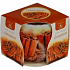 Essences of Life Skořice aromatická svíčka ve skle 100 g