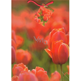 Nekupto Dárková papírová taška 32,5 x 26 x 13 cm Tulipány 1 kus 765 30 BL