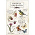 Bohemia Gifts Aromatická vonná karta Natura 10,5 x 16 cm