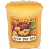 Yankee Candle Mango Peach Salsa - Salsa z manga a broskví vonná svíčka votivní 49 g