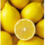 Village Candle Rebarborová citronáda - Rhubarb Lemonade vonná svíčka ve skle 2 knoty 262 g