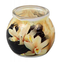 Admit Vanilla dekorativní aromatická svíčka ve skle 80 g