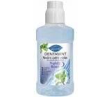 Bione Cosmetics Dentamint nocna ustna woda do zdrowych zębów i dziąseł 265 ml