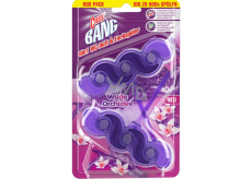 Cillit BANG Tuhý WC blok 6v1 Dzikie Orchidee, 2 ks