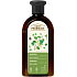 Green Pharmacy szampon przeciwłupieżowy z brzozą i olejem rycynowym 350 ml