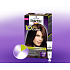 Schwarzkopf Palette 10 minut Color barva na vlasy 450 Čokoládově hnědá