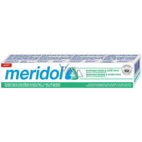 Meridol Gum Protection & Fresh Breath pasta do zębów przeciw krwawieniu dziąseł i nieprzyjemnemu zapachowi z ust 75 ml