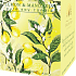 English Soap Citron & Mandarinka sojová vonná svíčka 170 ml, hoří až 35 hodin