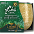 Glade Magical Forest - borové jehličí, jantar a lesní ovoce vonná svíčka ve skle, doba hoření až 30 hodin 120 g