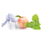 Bvlgari Splendida Patchouli Tentation woda perfumowana dla kobiet 1 ml próbka