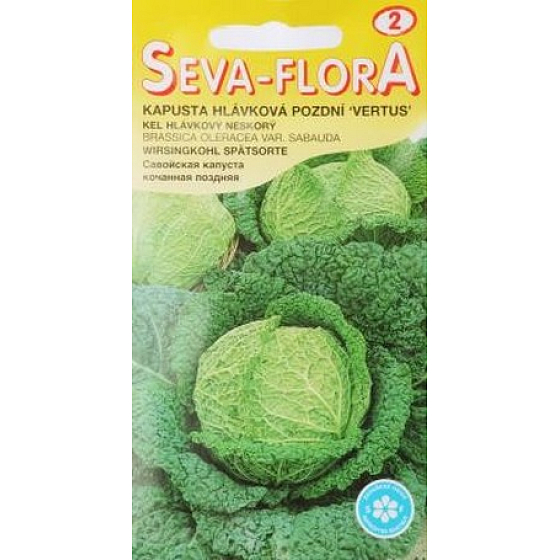 Seva - Flora Kapusta hlávková pozdní Vertus 0,8 g
