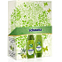 Schauma Nature Moments Středomořský olivový olej a Aloe Vera šampon 250 ml + kondicionér 200 ml, kosmetická sada