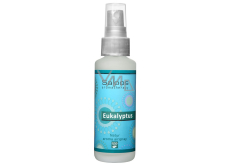 Saloos Natur Aroma Airspray Eukalyptus spray do domu przy przeziębieniach, ułatwia odkrztuszanie 50 ml