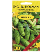 Holman F1 Jitka ogórki konserwowe sete hruboostne 2 g