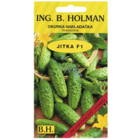 Holman F1 Jitka ogórki konserwowe sete hruboostne 2 g