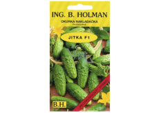 Holman F1 Jitka ogórki konserwowe seté hruboostnę 2 g