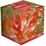 Kleenex Collection hygienické papírové kapesníky 3 vrstvy box 20 x 20 cm 56 kusů