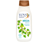 Alpa Luna Brzoza szampon ziołowy do włosów, ogranicza nadmierne przetłuszczanie się włosów 430 ml
