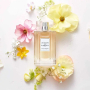 Lanvin Les Fleurs Sunny Magnolia Zestaw woda toaletowa 50 ml + woda toaletowa miniatura 7,5 ml, zestaw perforowany dla kobiet