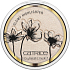 Catrice Glow Patrol Glowy Highlighter rozjasňovač C01 Muse 8,5 g