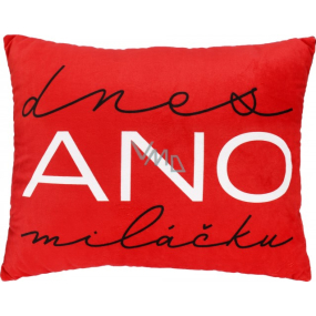 Albi Humorný polštář velký Dnes Ano miláčku/Ne miláčku 36 x 30 cm