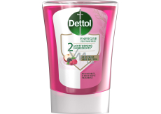 Dettol Płyn do mycia rąk leśne owoce, 250 ml