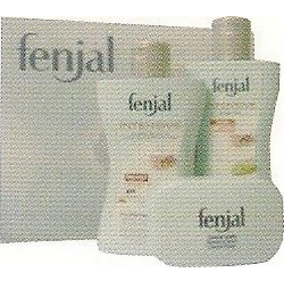Fenjal Intensive 3 sprchový gel 200 ml + tělové mléko 200 ml + mýdlo 100 g, kosmetická sada