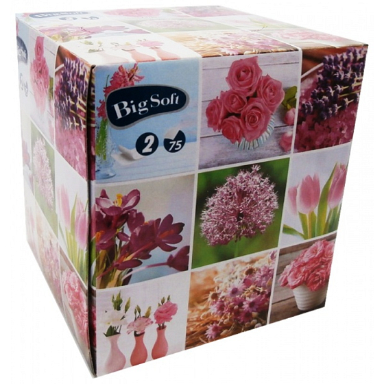 Big Soft Jaro papírové kapesníky bílé 2 vrstvé 75 kusů