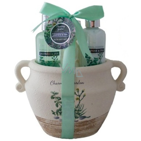 Salsa Collection Marakuja a Grep sprchový gel 90 ml + tělové mléko 90 ml + růže do koupele 3 x 3 g, kosmetická sada v keramickém květináči Salsa Collection Marakuja a Grep sprchový gel 90 ml + tělové mléko 90 ml + růže do koupele 3 x 3 g, kosmetická sada v keramickém květináči